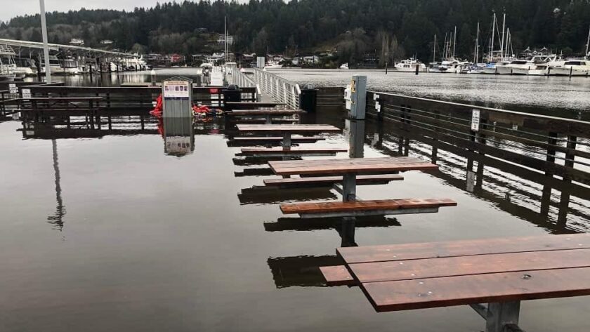 Gig Harbor Police captured the scenes above and below at Skansie Brothers Park.