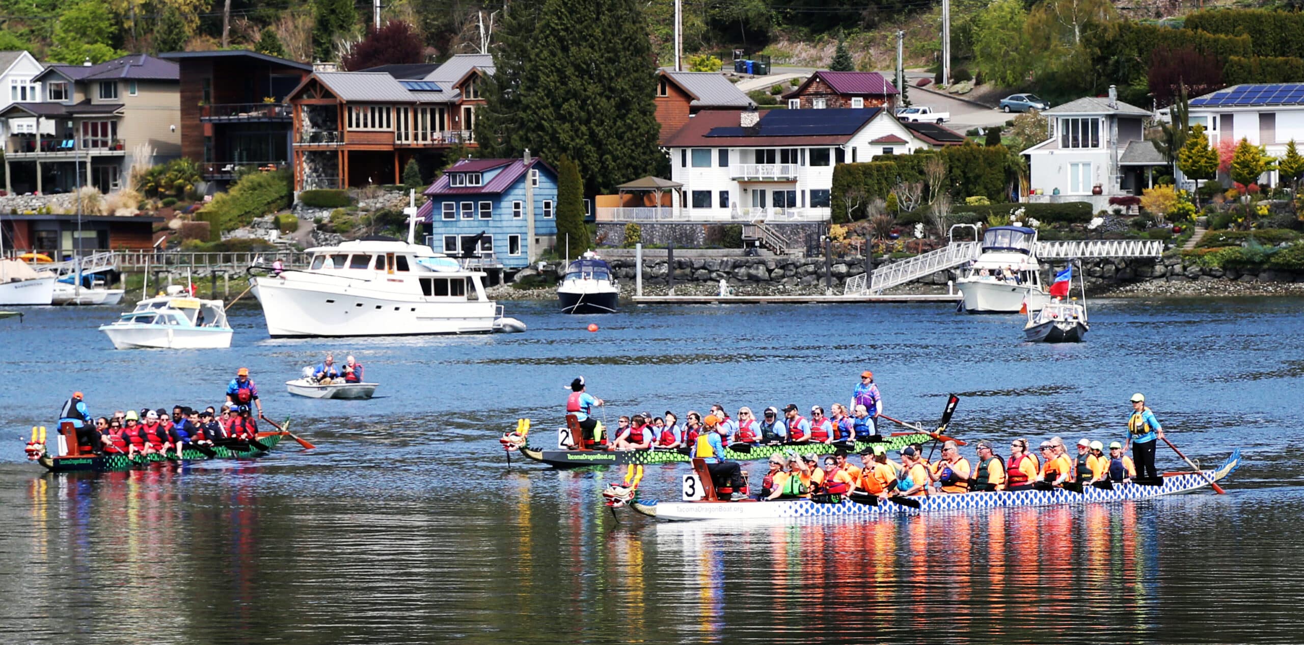 WPL Dragon Boat Race - Home