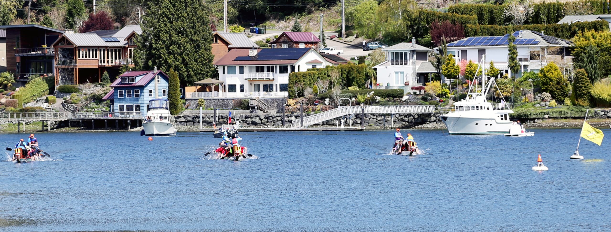 WPL Dragon Boat Race - Home