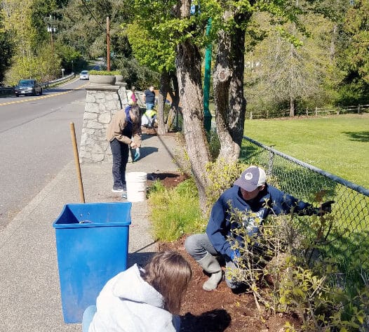 Volunteers pull weeds during a previous Parks Appreciation Day.