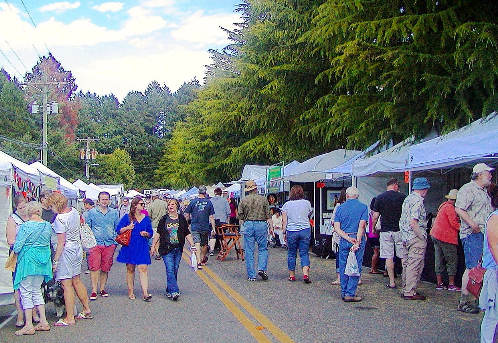 Summer Art Festival returns this weekend - Gig Harbor Now | A ...