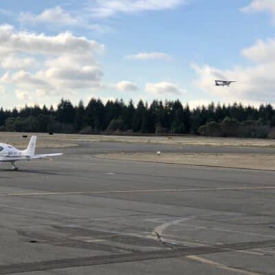 Most trees to be removed are to the west (in background) and north of the runway.