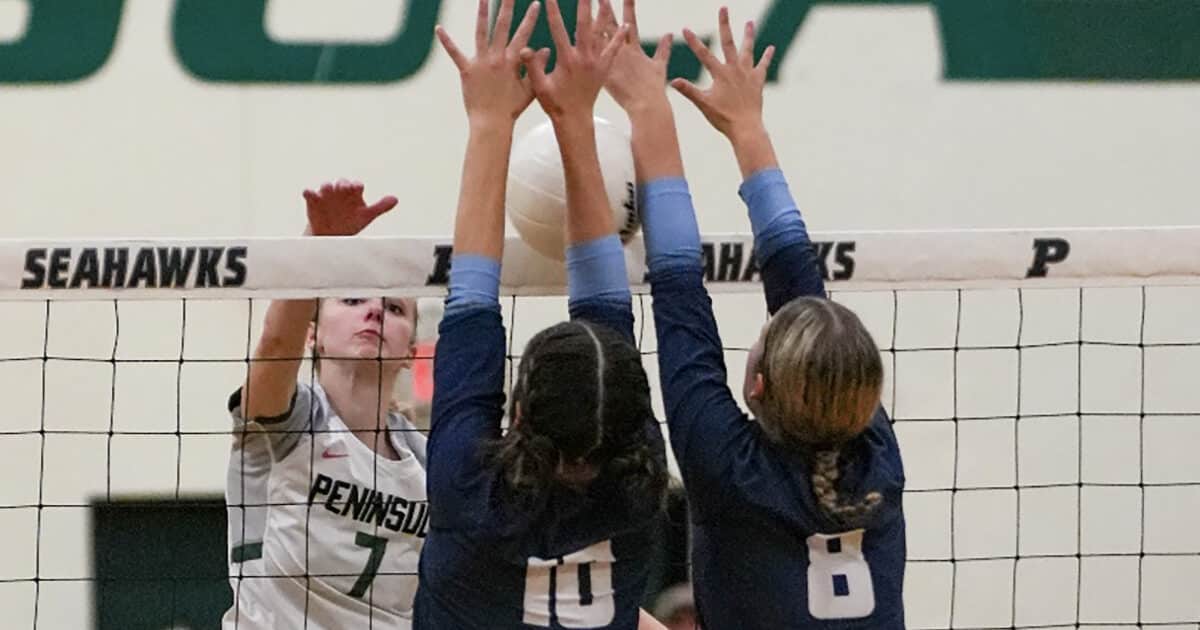 Sports Beat: Volleyball teams qualify for state tournament - Gig