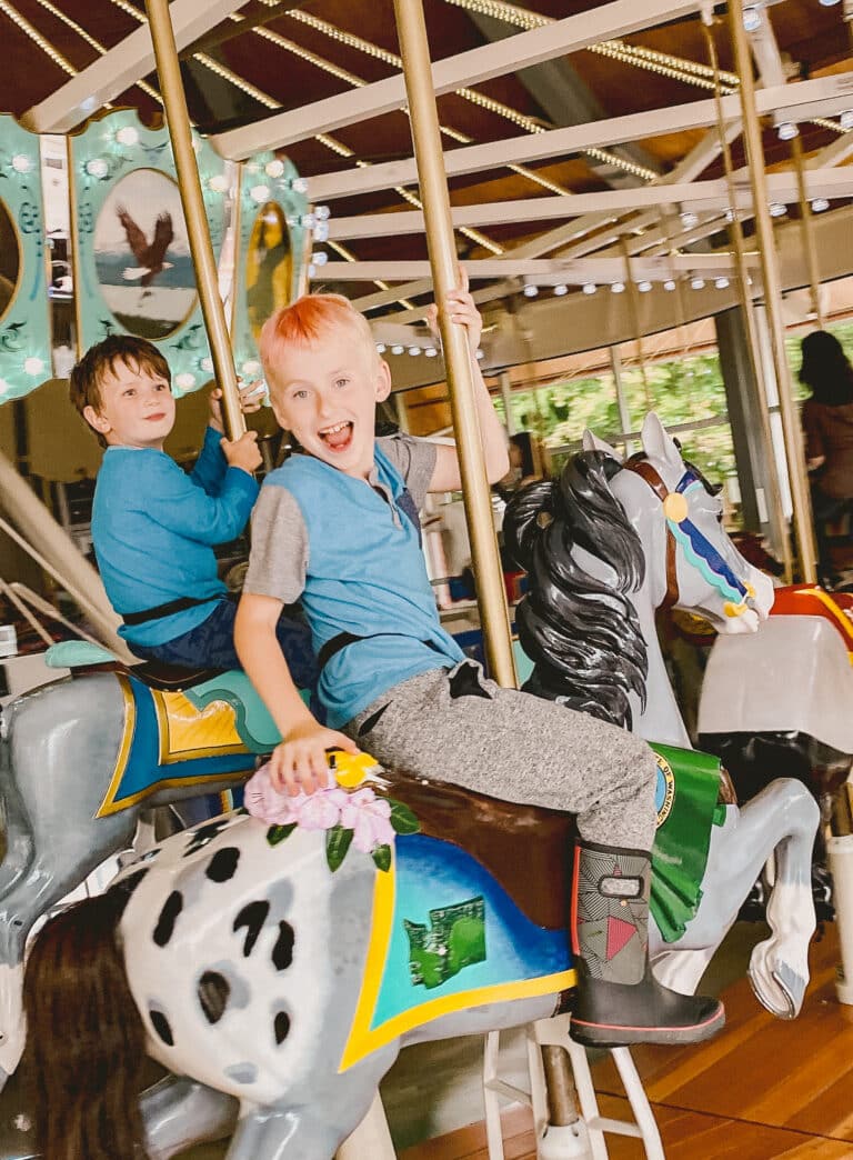 Two in Tow & On The Go | Zoo carousel fun facts - Gig Harbor Now | A ...