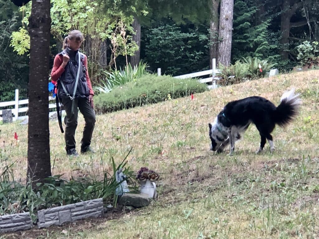 Cindy Arnold and Riley on the scent of unmarked gravesites.